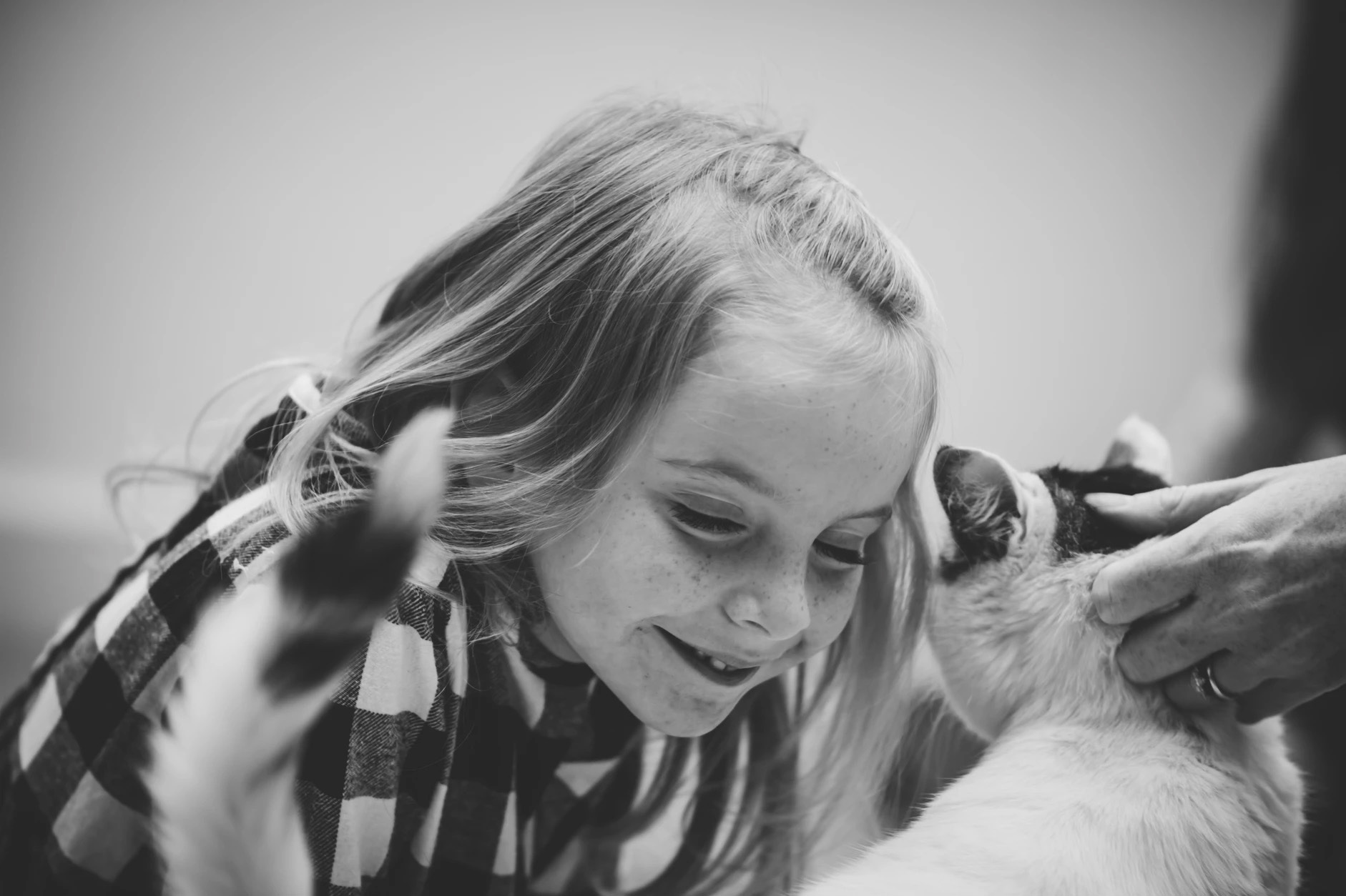 dbe9b3 23f5912f0ef644cda7e24f9053d6ff08 mv2 d 6000 4000 s 4 2