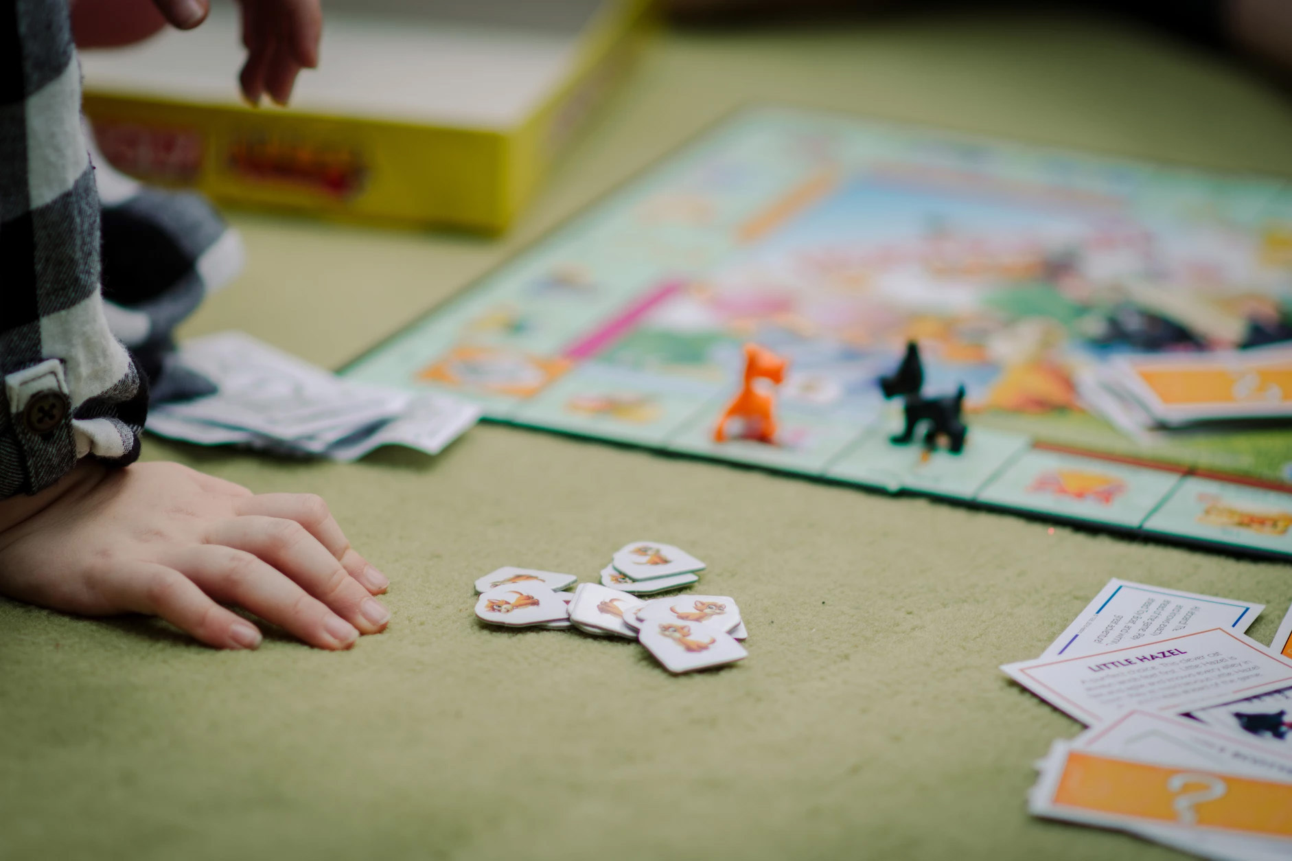 dbe9b3 2da000078e6e4ab6ab197210b39d9361 mv2 d 6000 4000 s 4 2